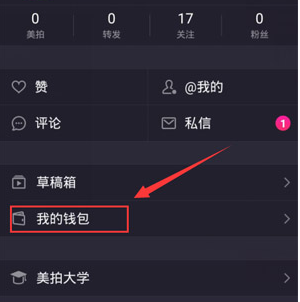 米切尔滑翔隔扣西卡